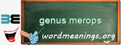 WordMeaning blackboard for genus merops